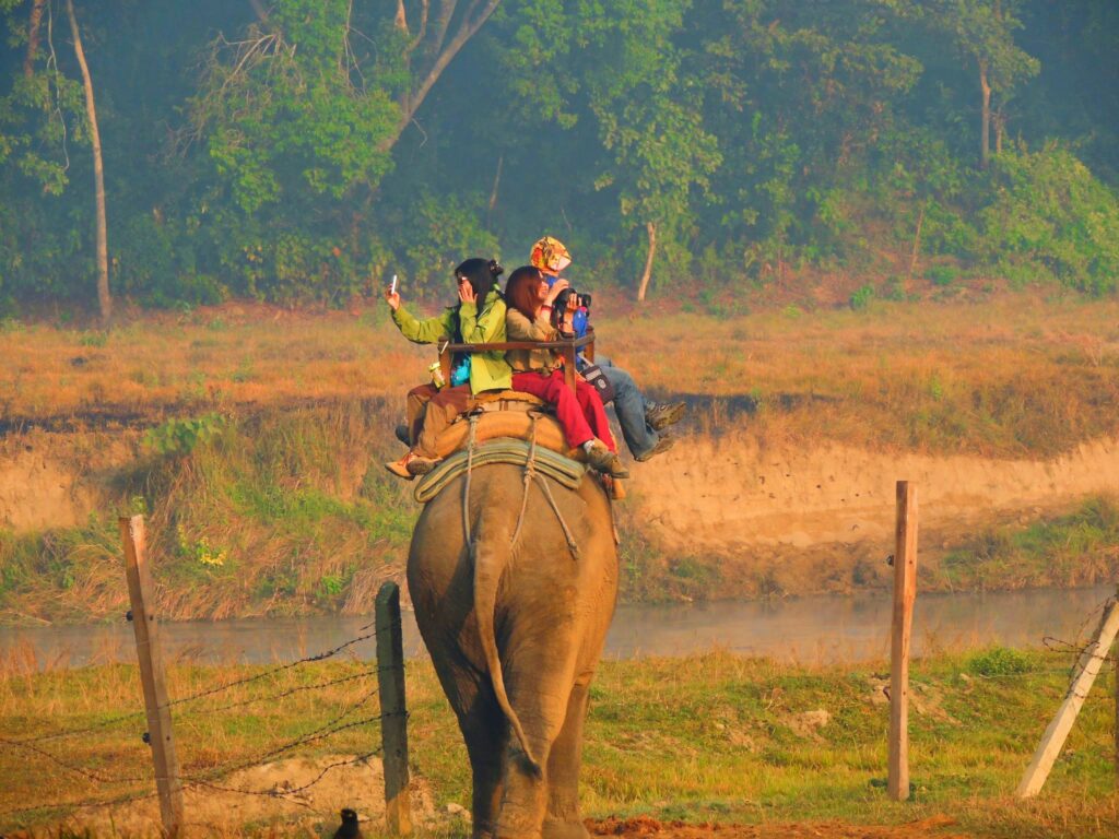 CHITWAN WILDLIFE SAFARI