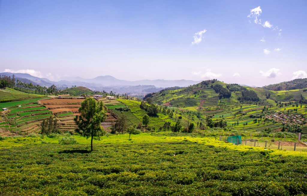 Coonoor