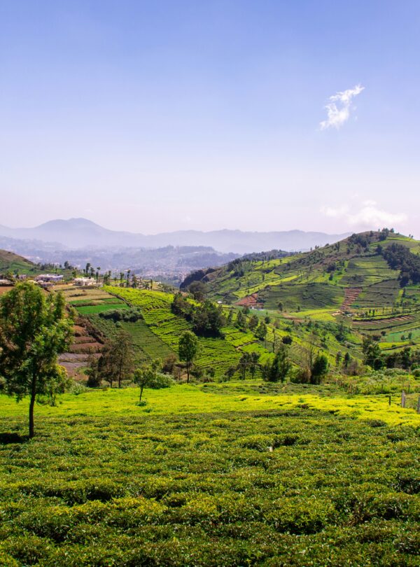 Coonoor