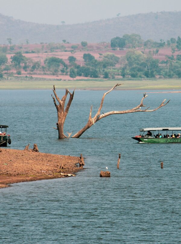 Kabini