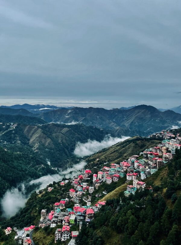 Shimla