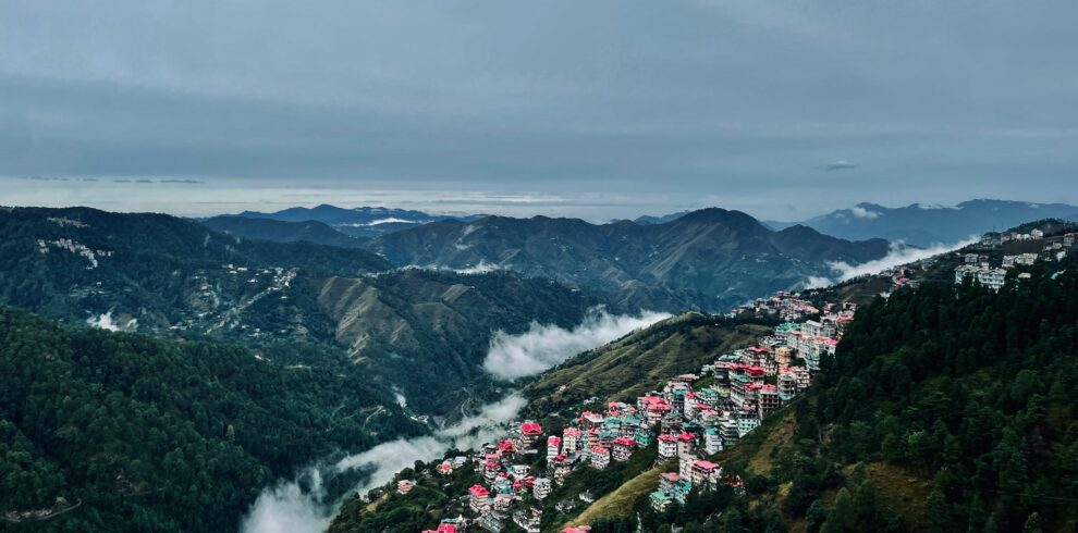 Shimla